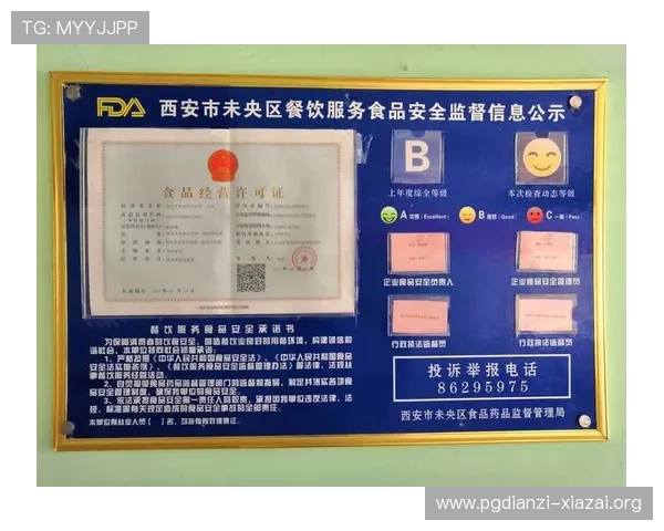 PG娱乐官网app下载安全验证流程，保障玩家账号信息安全与游戏体验